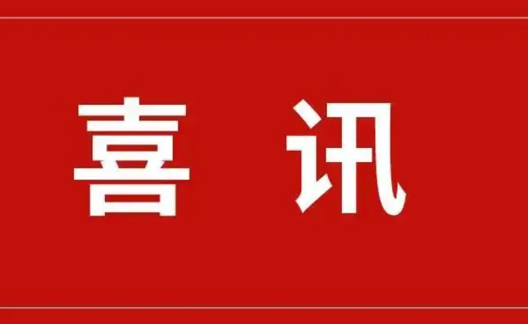 喜讯 | 文盾信息入选湖南省专精特新“小巨人”企业！